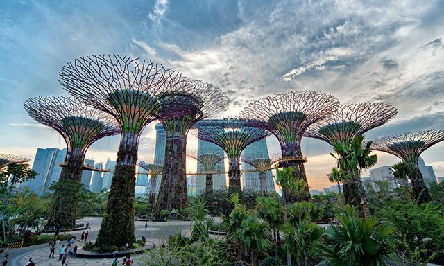 Sights of Singapore  Photo