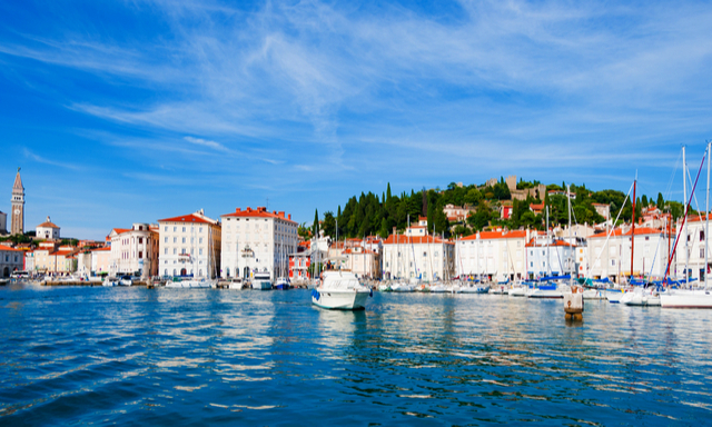 Panoramic Slovenian Coast & Farmer’s Market Photo