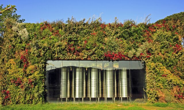 Hilltop Villages & Wine Tasting Photo