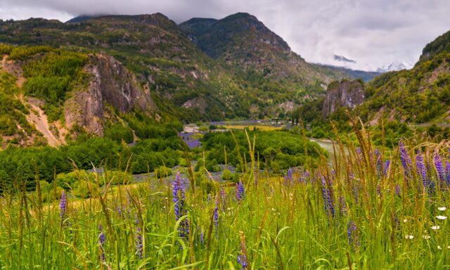 Patagonia Nature In Depth Photo
