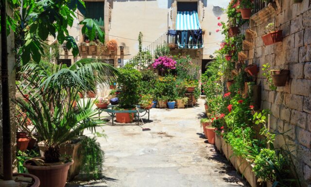 Ortigia on Foot and Sicilian Market Tasting Photo