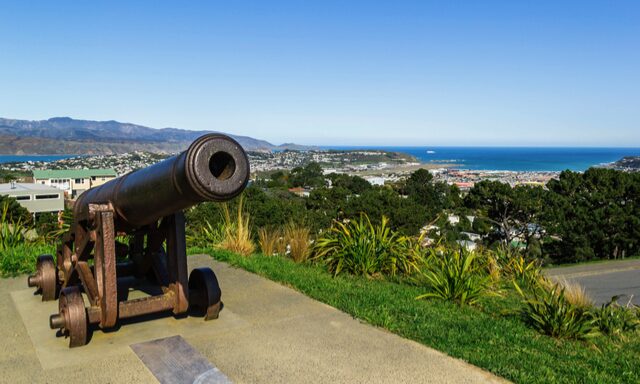 Scenic Wellington and Botanical Garden Photo