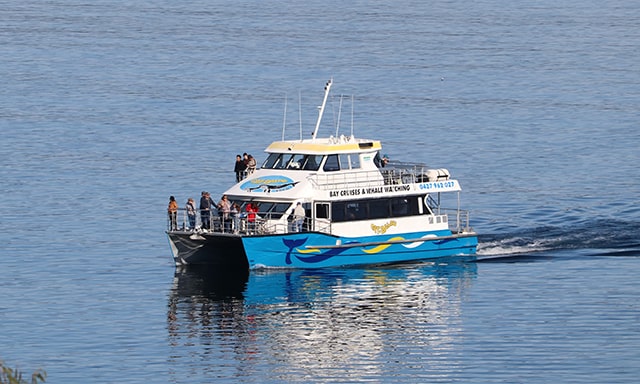 Cruising Twofold Bay Photo