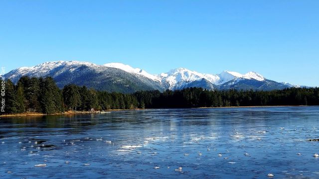 Prince of Wales Whale & Marine Mammal Quest Map