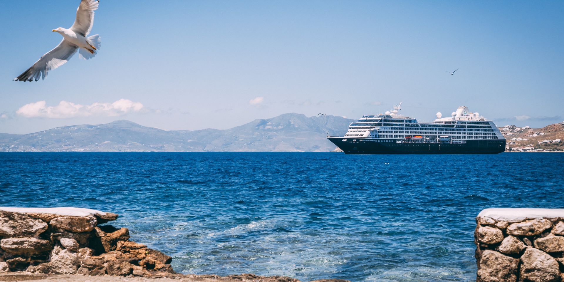 cruise ship sailing seagulls flying around