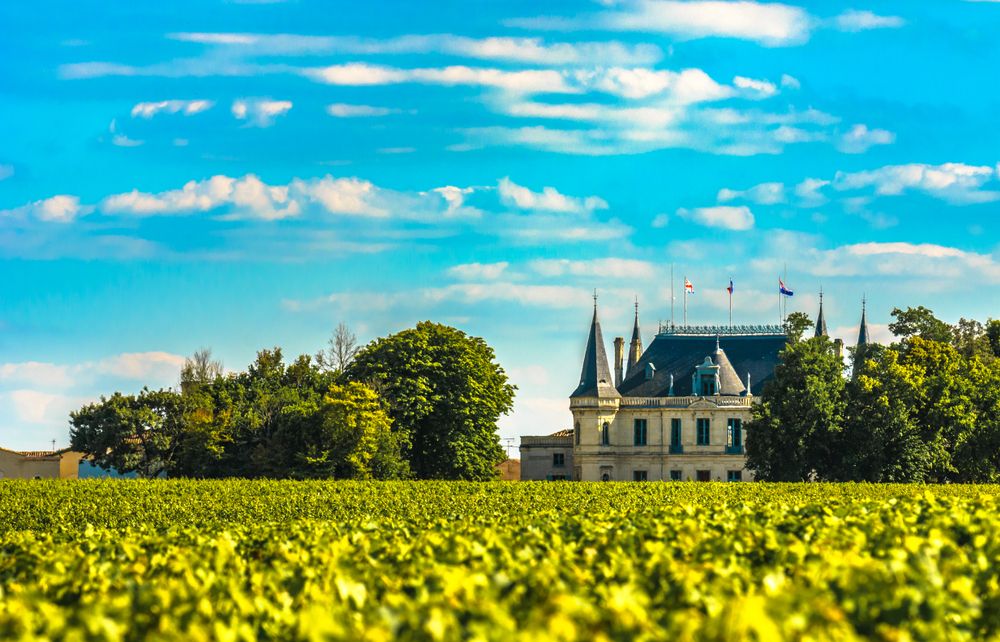 Vineyard leading up to chateau in Margaux, Bordeaux, France.
