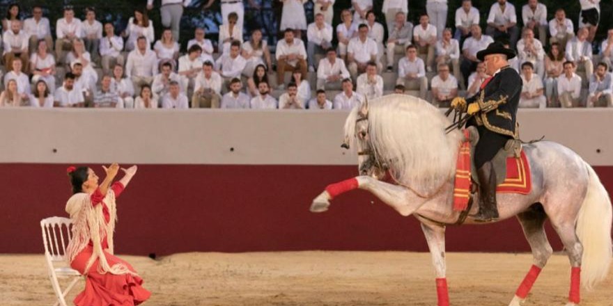 Rhythms of Andalusia: Horses, Music, and Dance in Motion Map